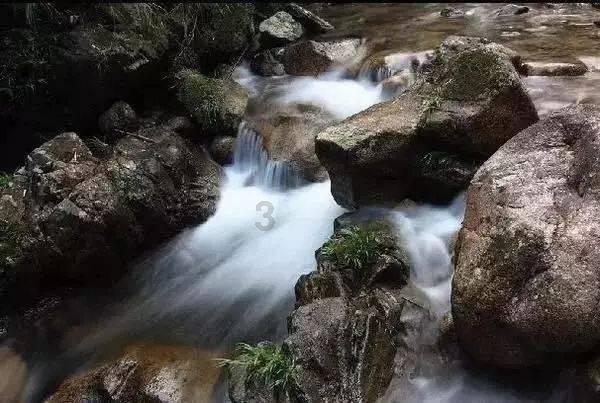逃离泰莱森林