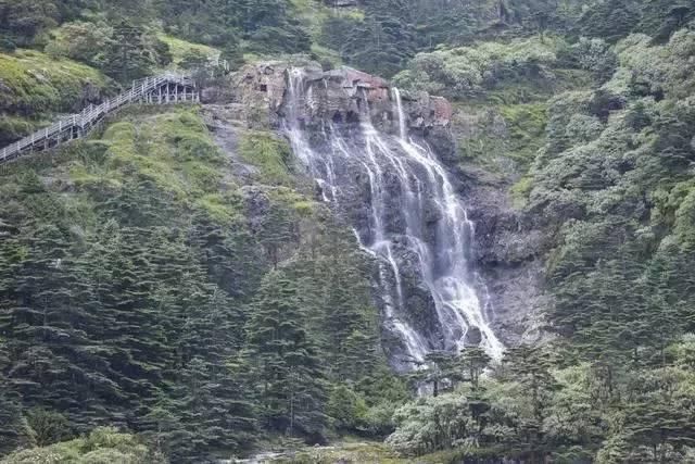 高三班主任在医院照顾父亲，学校让校长代班，请问原来的班主任还能回来不，想送礼游戏画面